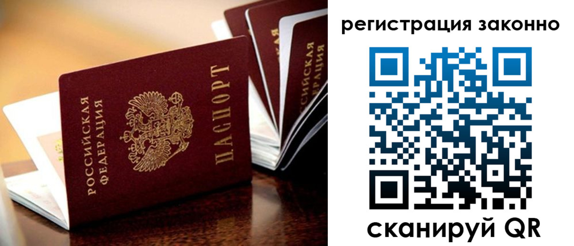 прописка для школы в Мурманске